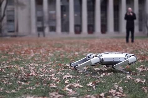 T­e­r­s­ ­T­a­k­l­a­ ­A­t­a­b­i­l­e­n­ ­R­o­b­o­t­:­ ­M­i­n­i­ ­Ç­i­t­a­